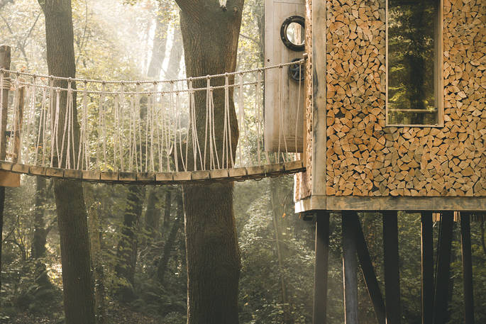 Woodsman's Treehouse on botanical illustrator Charlotte Argyrou's blog