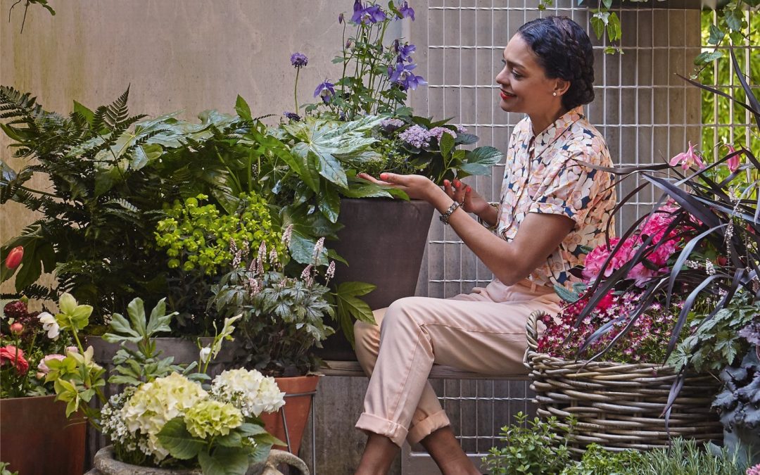 The Balcony Garden with Charlotte Argyrou illustrator