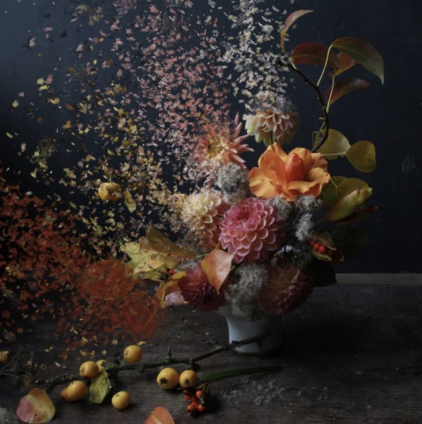 Xyris Botanicals digital floral art 3 2021 Floral Trends creative play charlotte argyrou blog