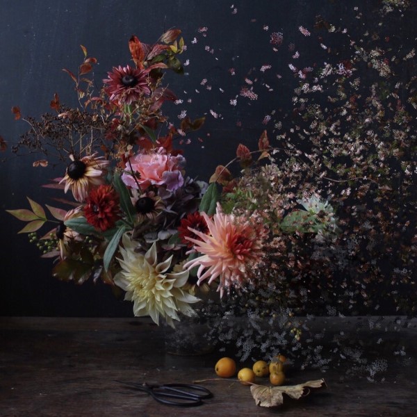 Xyris Botanicals digital floral art 1 2021 Floral Trends creative play charlotte argyrou illustrationblog