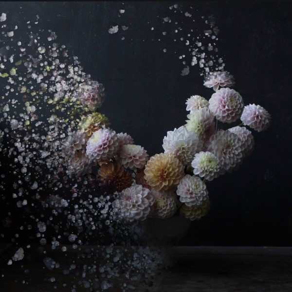 Xyris Botanicals digital floral art 2 2021 Floral Trends creative play charlotte argyrou illustrationblog