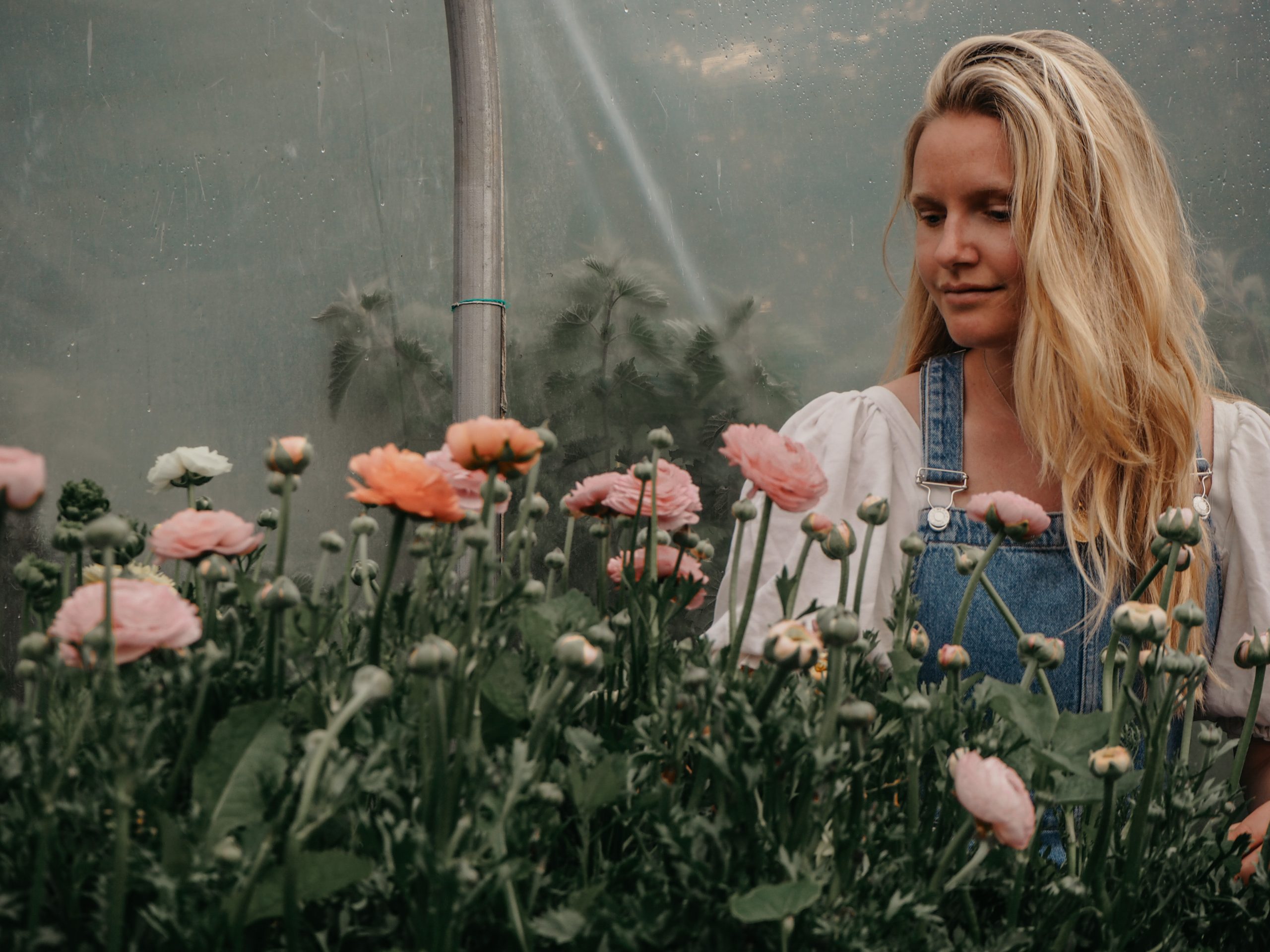 OLYMPUS DIGITAL CAMERA Issy Wizz and Wild 2022 Floral Trends