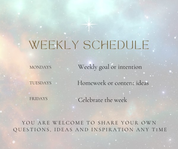 weekly schedule Charlotte Argyrou creative business mentoring schedule