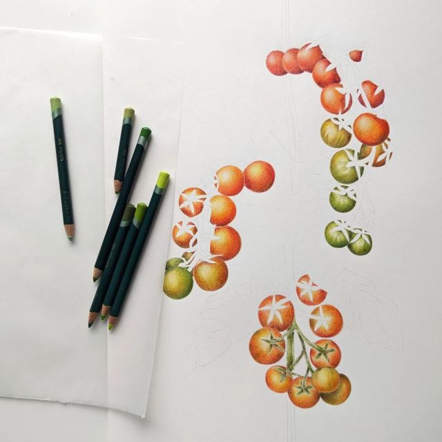 I finished up client work early on Friday, so had an hour to revisit this personal project I began in Autumn. It's all drawn from photos I took of our own crop this year, here in the micro-garden. 
I'll be playing with surface pattern design and seeing if this will work as an upholstery fabric 🍅
Something new for this year. 
#tomatoplant #growyourown
#slowsimplestyle
#slowsimpleseasonal #botanicalillustrator
